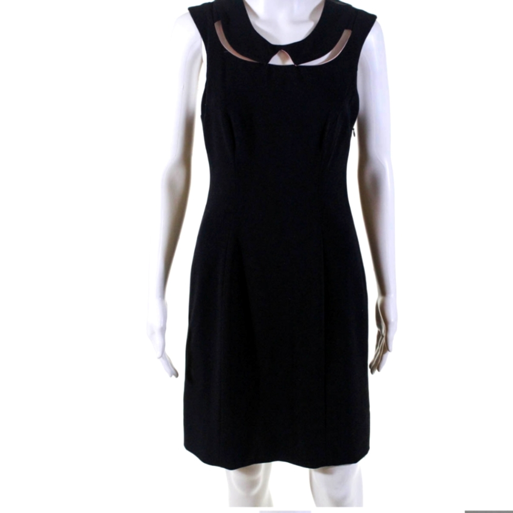 ANTHROPOLOGIE SLEEVELESS KNEE LENGTH SHIFT DRESS 2
